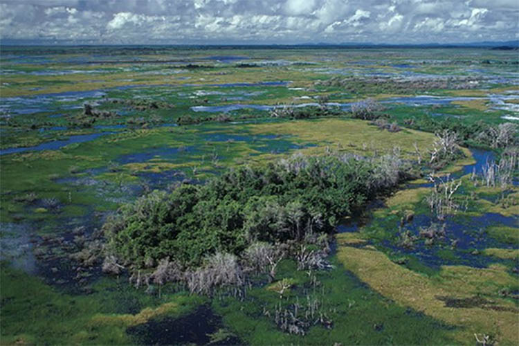 Enchentes no Sul, seca no Pantanal