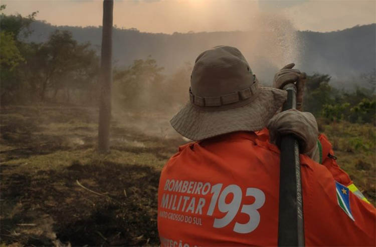 IncÃªndios sÃ£o controlados no Pantanal de MS