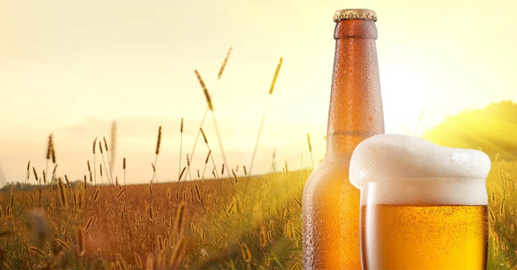 Cervejas vendidas no Brasil terÃ£o de exibir todos os ingredientes nos rÃ³tulos