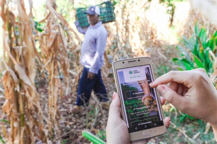 Em Ã©poca de pandemia, CNA cria sistema de vendas online para produtores rurais