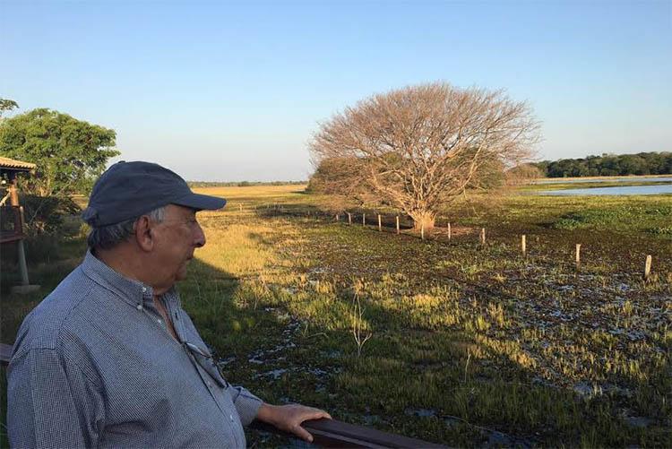 Pedro Chaves vira relator de projeto que define regras de atividades no Pantanal