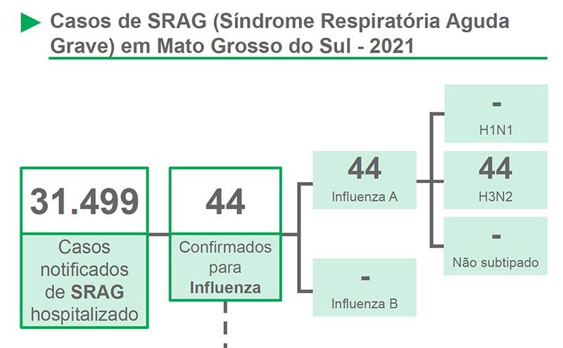 Mato Grosso do Sul registra em apenas duas semanas cinco mortes pela gripe H3N2