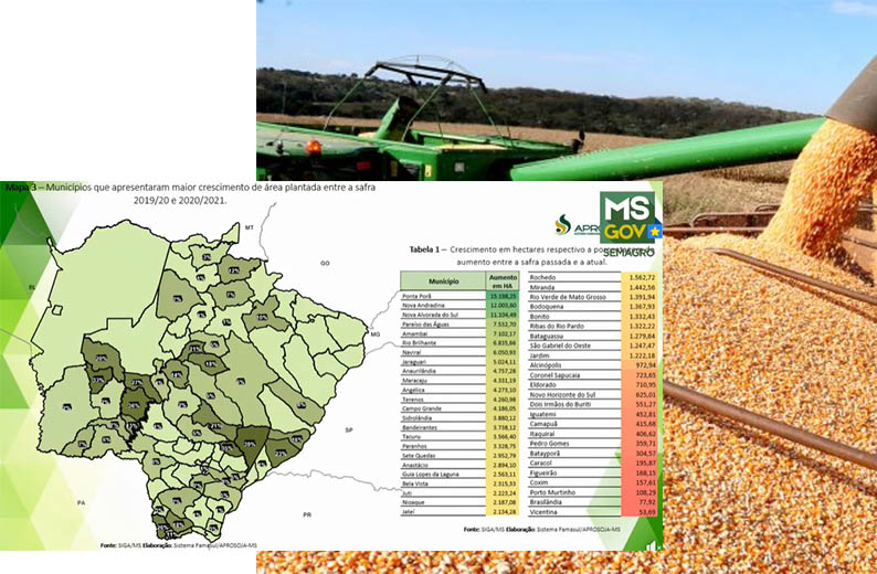 Mato Grosso do Sul bate recorde ao produzir 13 milhÃµes de toneladas de soja