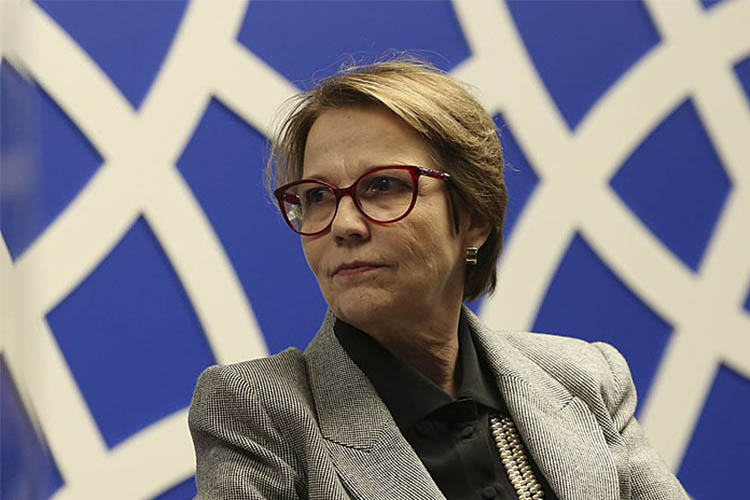 Tereza Crisitina diz que nÃ£o deve ir para o PL com Bolsonaro, como outros trÃªs ministros