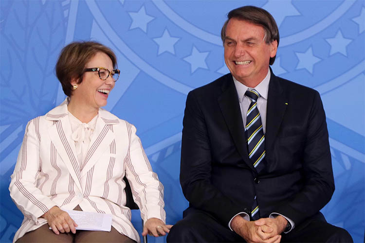 Bolsonaro confirma Tereza para senadora e ela dirÃ¡ quem ele deve apoiar para governar MS