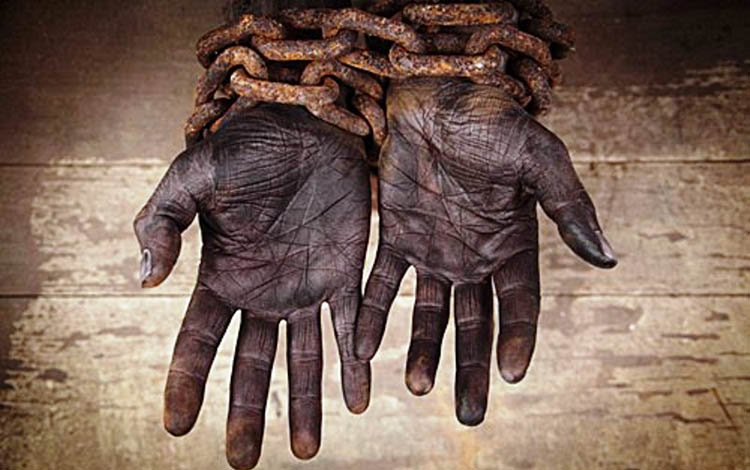 TolerÃ¢ncia ao trabalho escravo pode prejudicar exportaÃ§Ãµes do Brasil