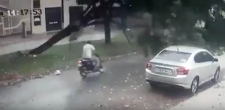 VÃ­deo mostra motociclista sendo atingido por Ã¡rvore e saindo ileso em Dourados